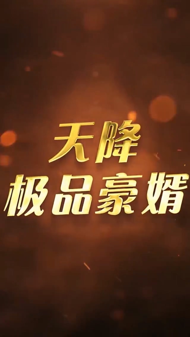 天降极品豪婿第166集